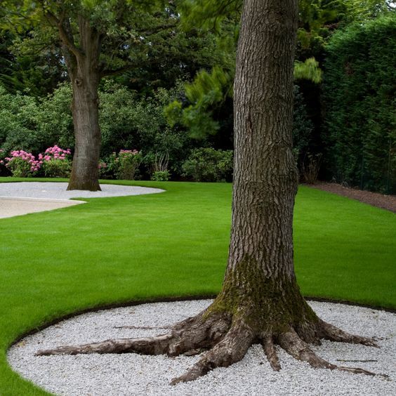 how to install landscape edging around a tree