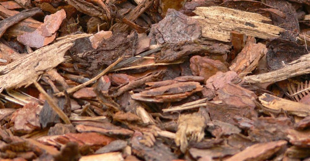 bark-mulch