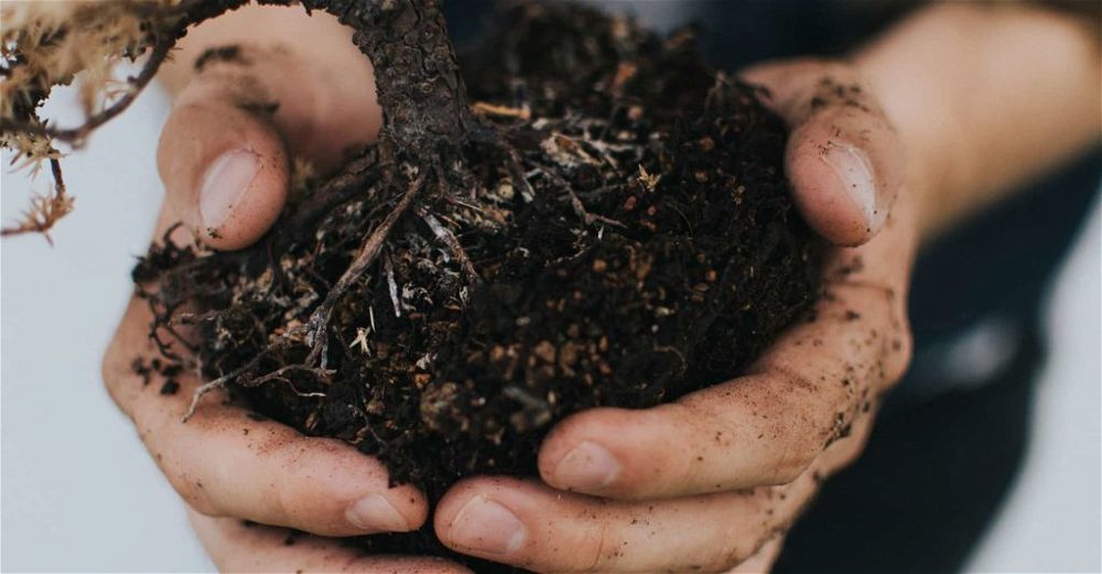 compost