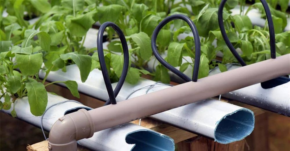 hydroponics-system