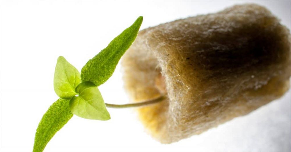 rockwool