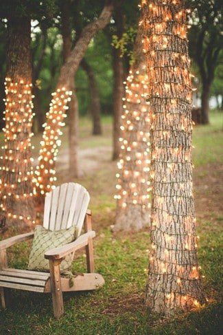 tree fairy lights
