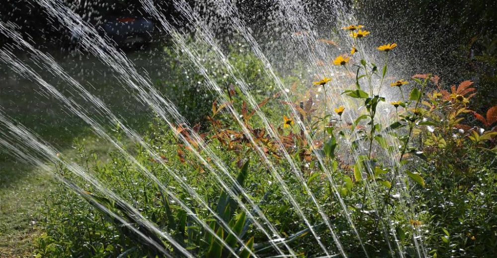 Sprinkler