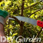 best-pruning-saw