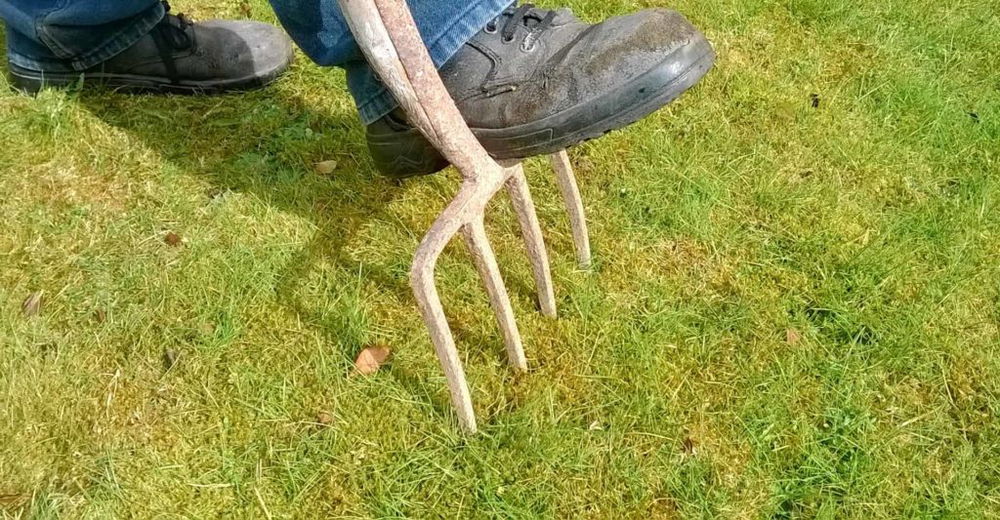garden-fork
