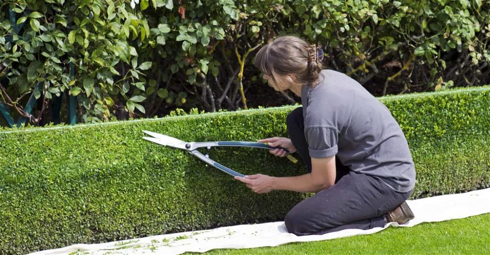 garden-shears