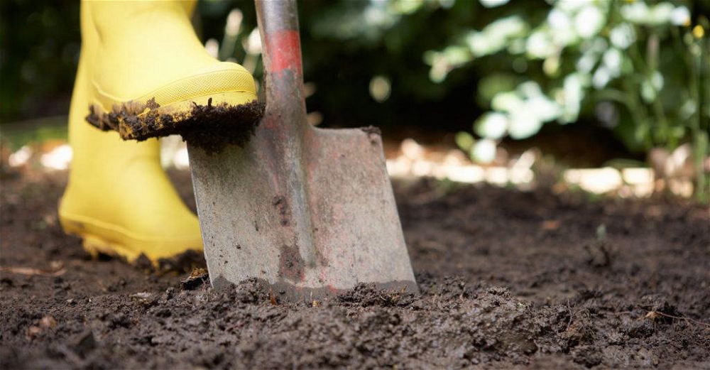garden-spade