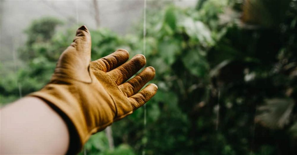 gardening-gloves
