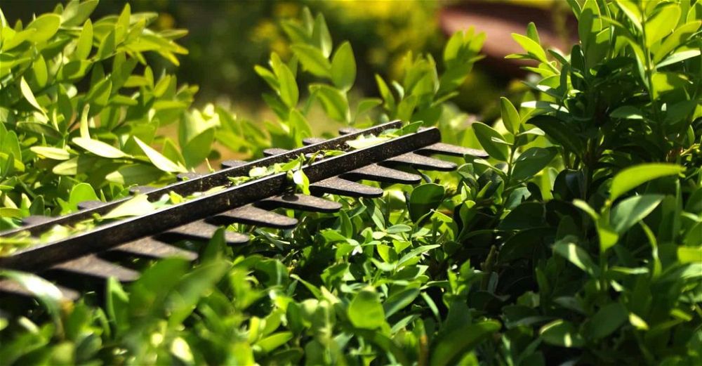 hedge-trimmer