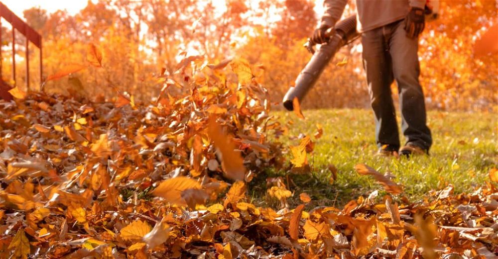 leaf-blower