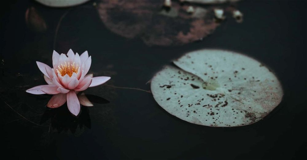 pond-heater