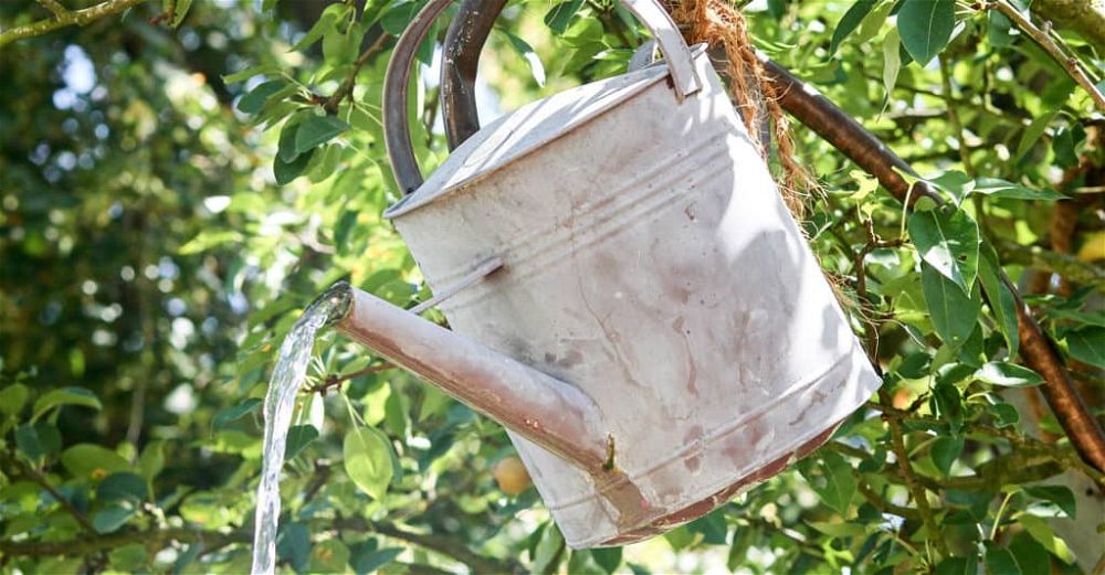 watering-can