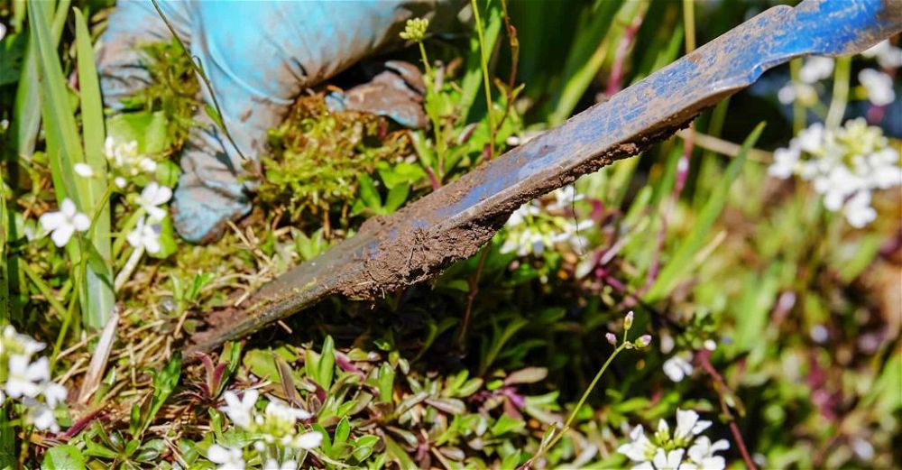 weeding-tool