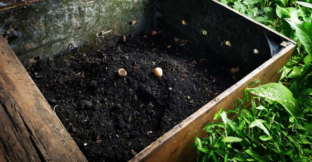 compost-aerator