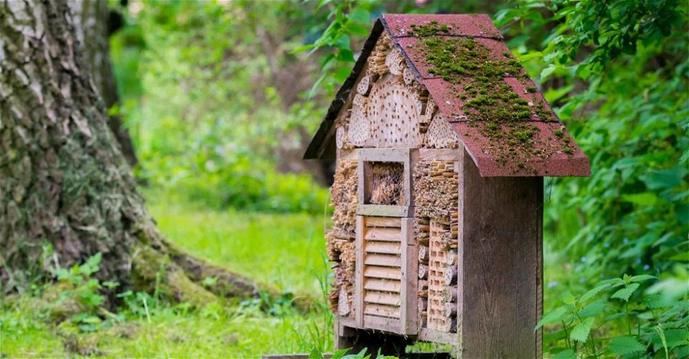 how-to-build-a-bug-hotel-diy-garden