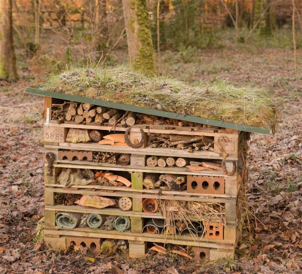 how-to-build-a-bug-hotel-diy-garden