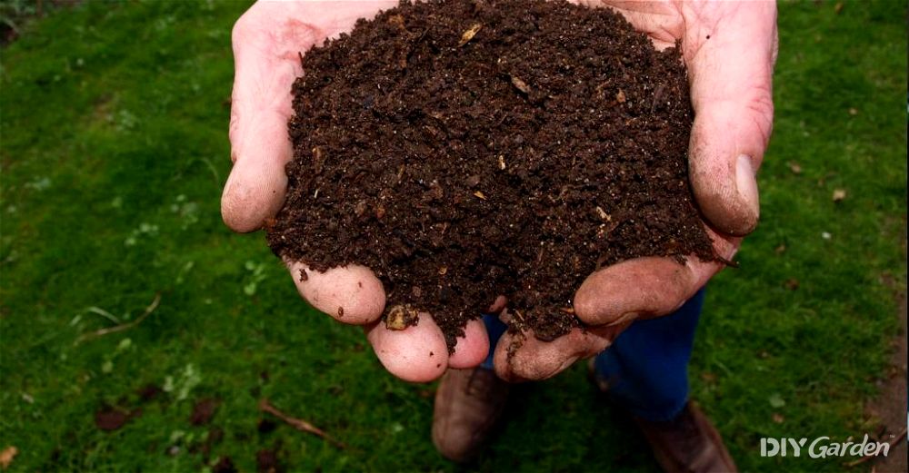 best-compost