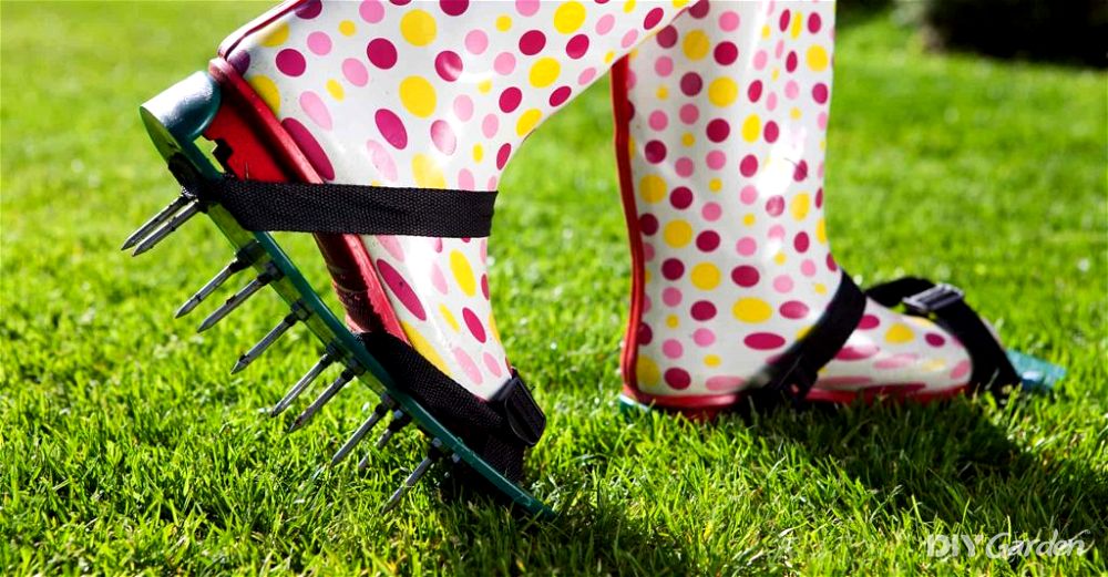 best lawn aerator