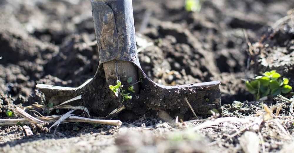 garden-shovel