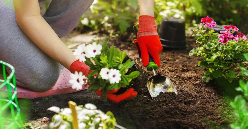 best-garden-kneeler
