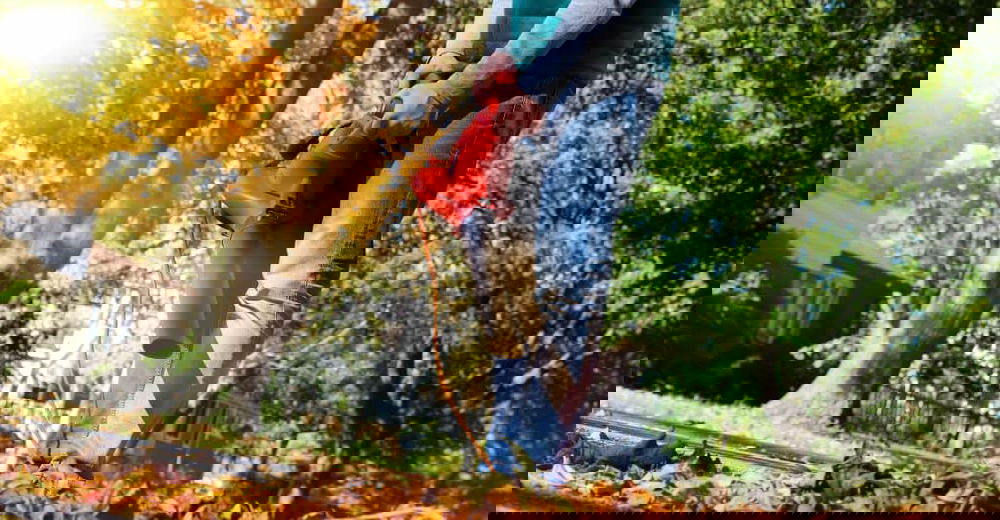 cordless-leaf-blower