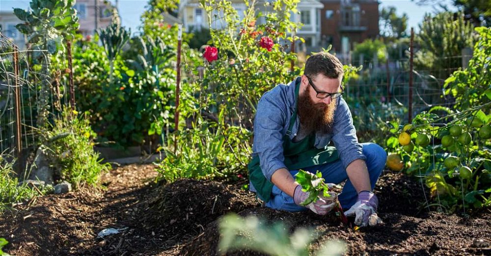 gardening-trousers