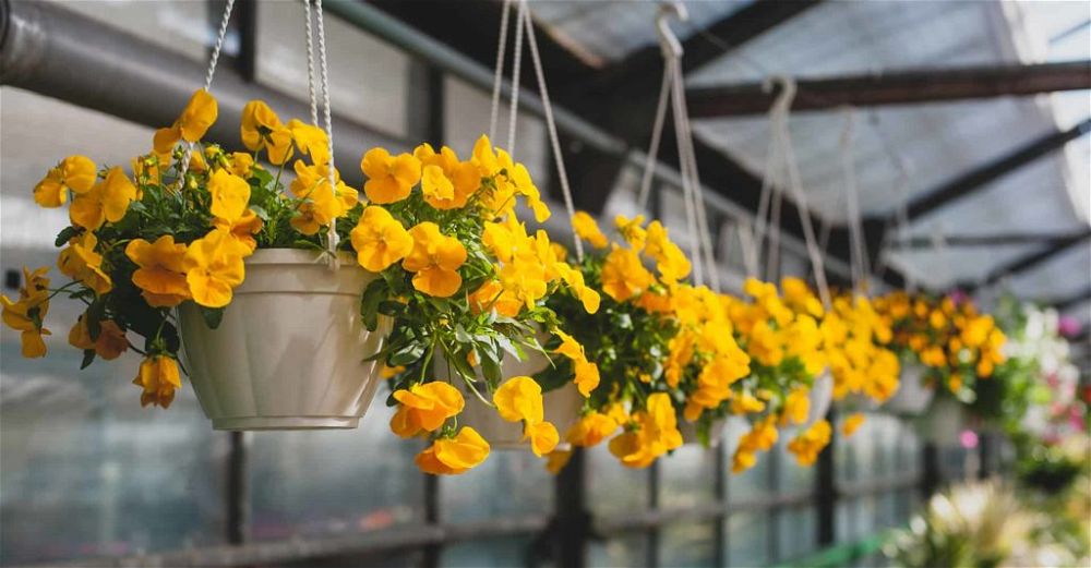 artificial-hanging-basket