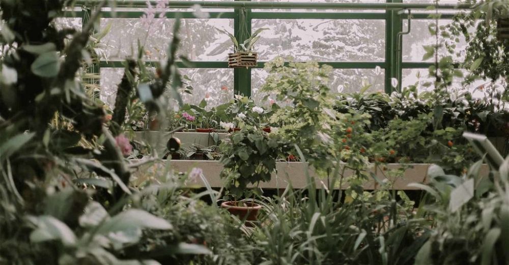 greenhouse-heater