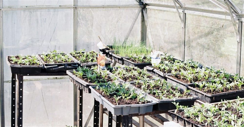 greenhouse-insulation
