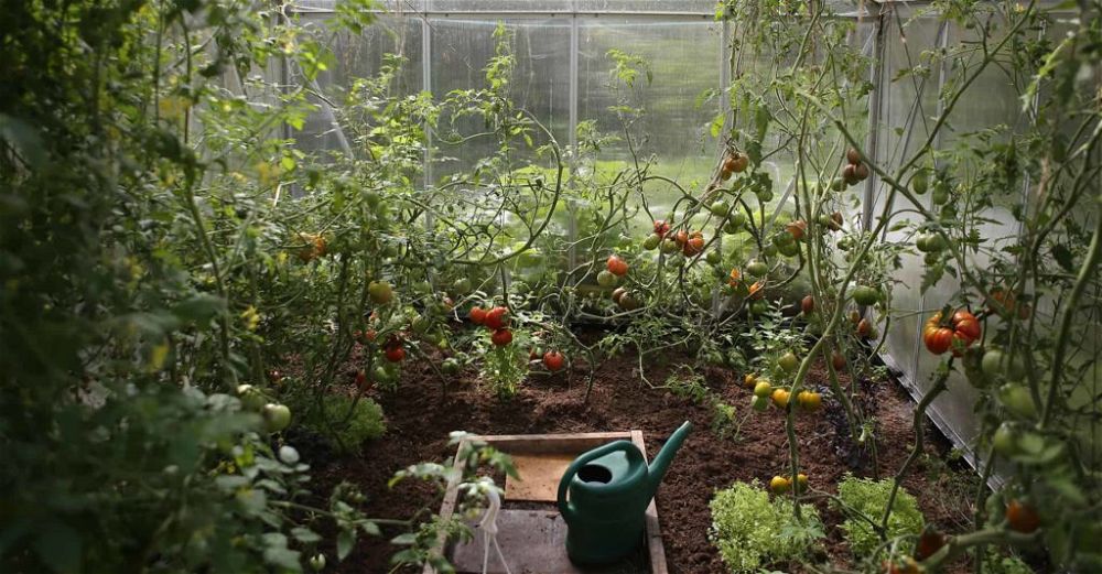 greenhouse thermometer