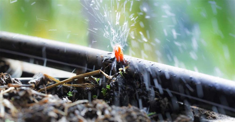 greenhouse watering system
