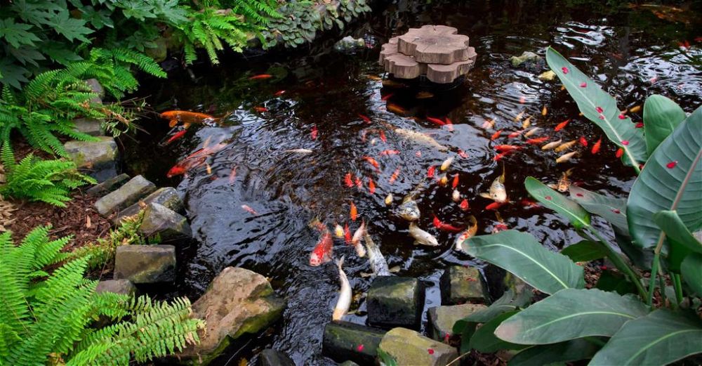 garden pond aerator