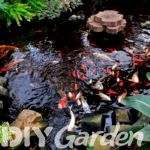 garden pond aerator