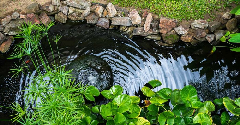 pond filter box