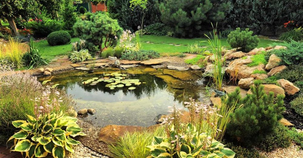 pond-paint