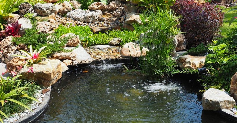 pond water treatment