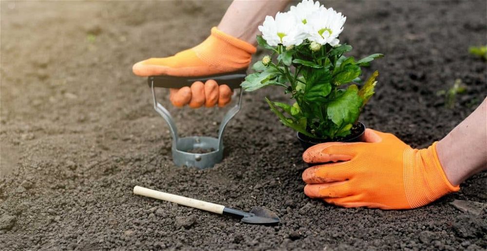 best-bulb-planter-tools