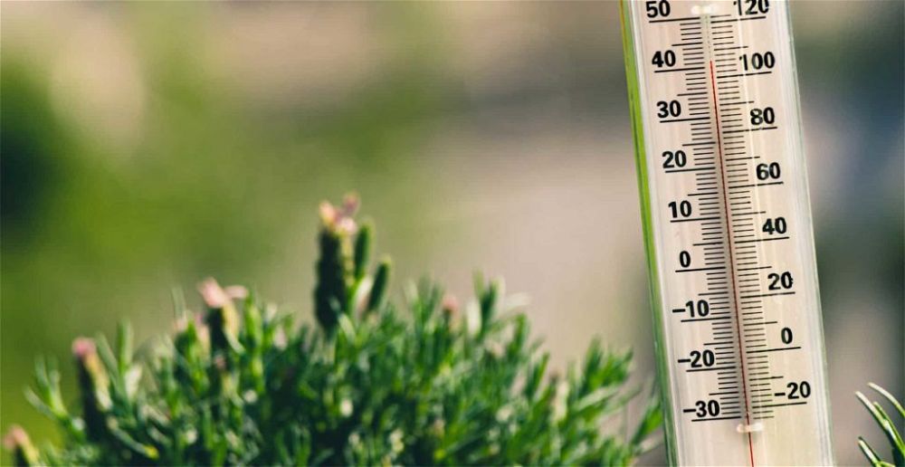 best-garden-thermometers