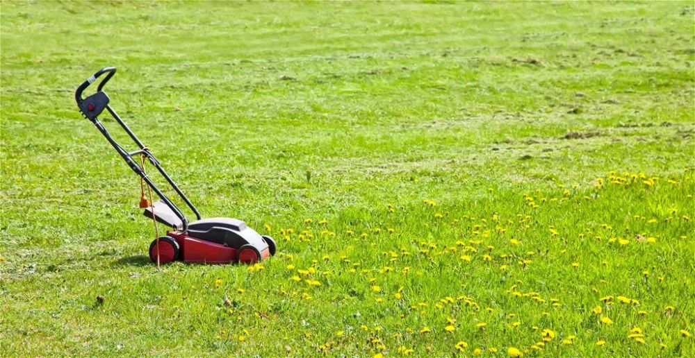 best-lawn-mowers-for-small-gardens