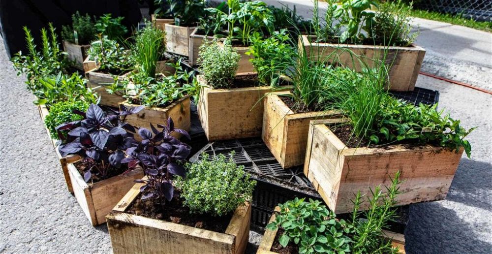 best-wooden-planters