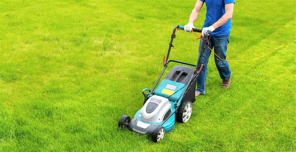 5 Best Corded Lawn Mowers UK (2021 Review)