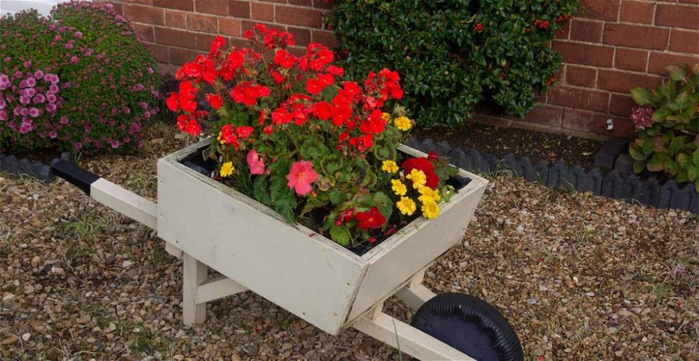 best-wheelbarrow-planters