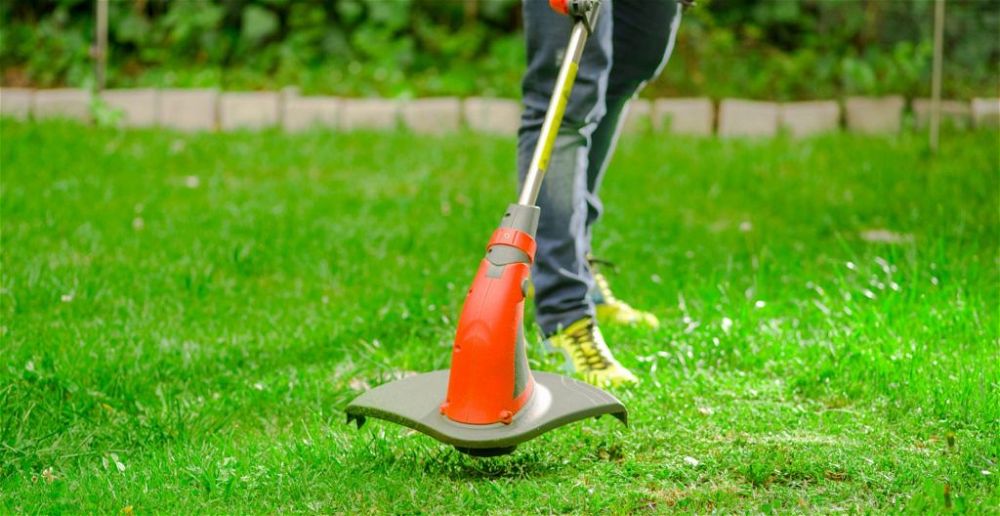 best-cordless-strimmer-for-allotment
