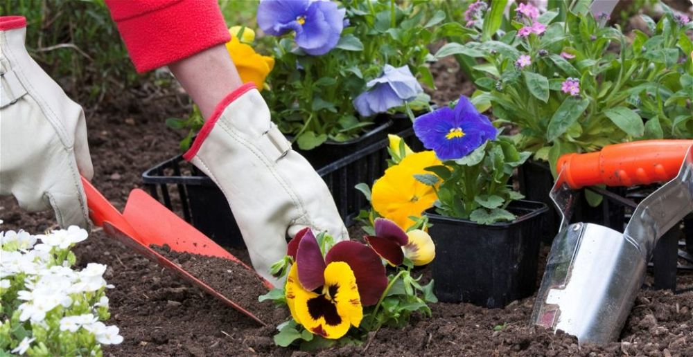 best-garden-hand-trowel
