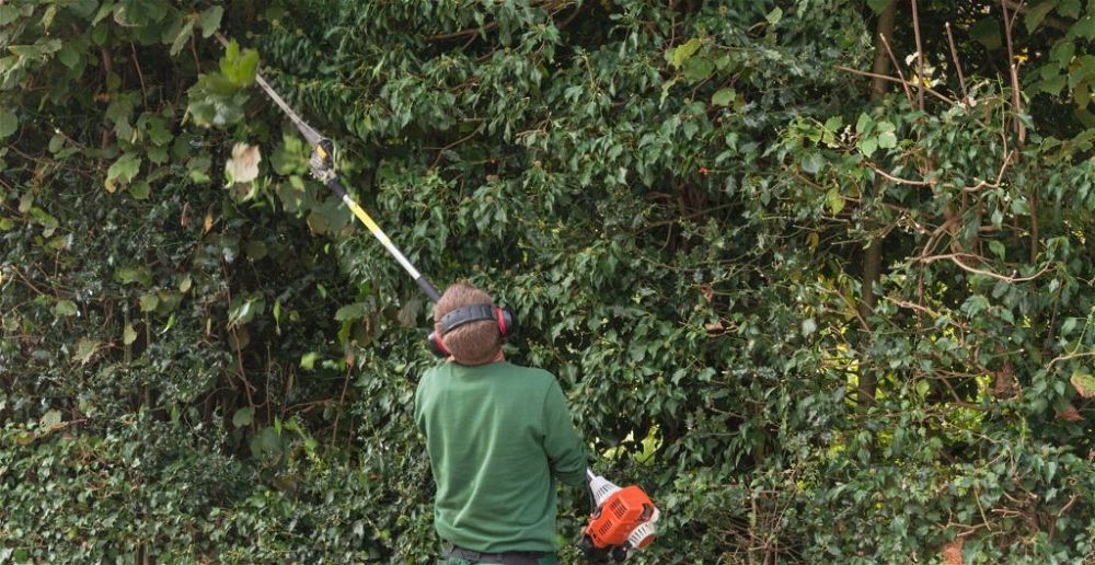 best-long-reach-hedge-trimmer
