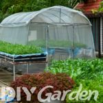 best-polytunnel-for-an-allotment