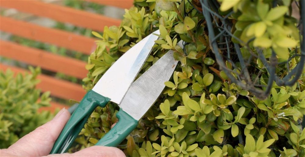 best-topiary-shears