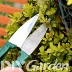best-topiary-shears