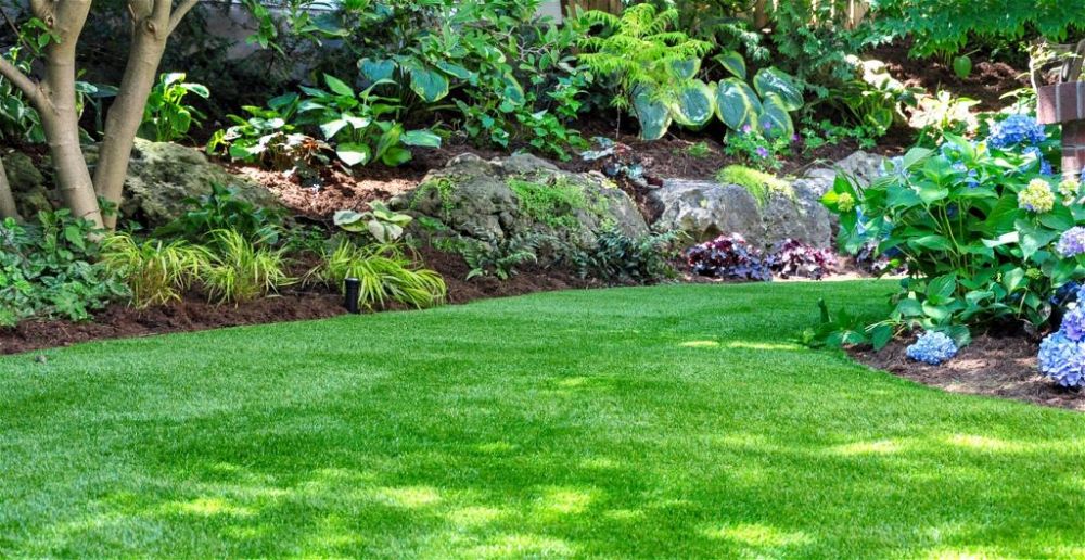 best-brush-for-artificial-grass-astro-turf