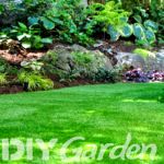 best-brush-for-artificial-grass-astro-turf